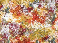 Tissu coton enduit AZALEE floral multicolore